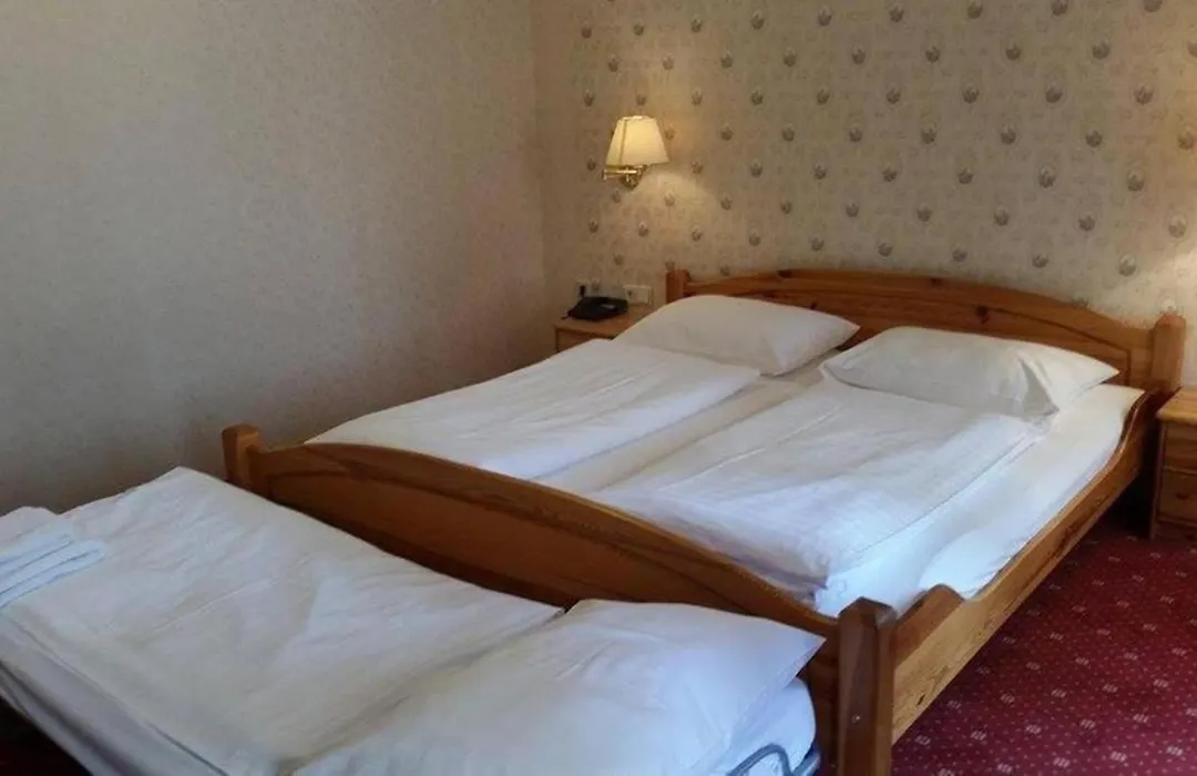 Hotel Pension Walzerstadt-1